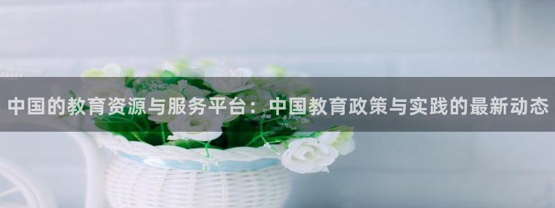 新航娱乐app下载地址：中国的教育资源与服务平台：中国教育政