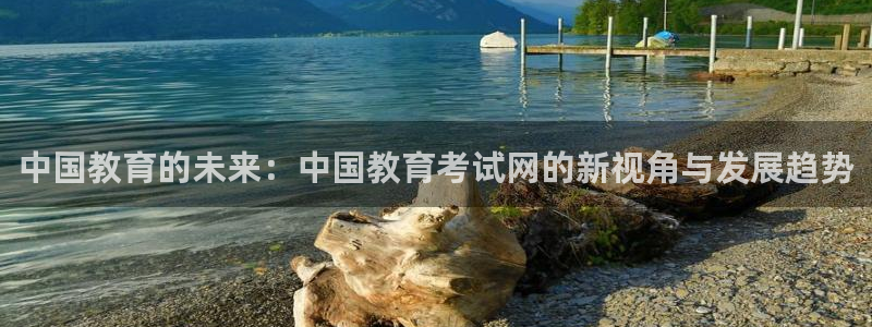 新航娱乐平台登录蒋渭水：中国教育的未来：中国教育考试网的新视