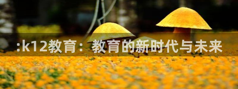 开启娱乐新航线下载：:k12教育：教育的新时代与未来