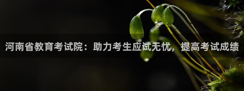 新航城娱乐传媒有限公司：河南省教育考试院：助力考生应试无忧，