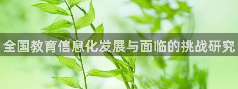 新航娱乐公司艺人：全国教育信息化发展与面临的挑战研究