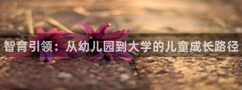 兰山新航线娱乐会所：智育引领：从幼儿园到大学的儿童成长路径
