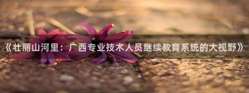 新航娱乐直开怎么下载：《壮丽山河里：广西专业技术人员继续教育