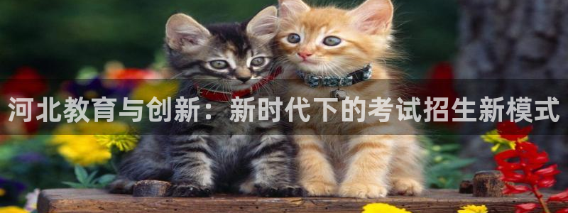 新航海娱乐会所怎么样：河北教育与创新：新时代下的考试招生新模
