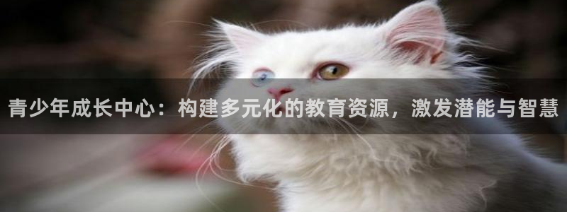 新航虚拟娱乐：青少年成长中心：构建多元化的教育资源，激发潜能