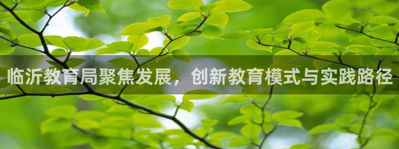 新航娱乐官网地址：临沂教育局聚焦发展，创新教育模式与实践路径