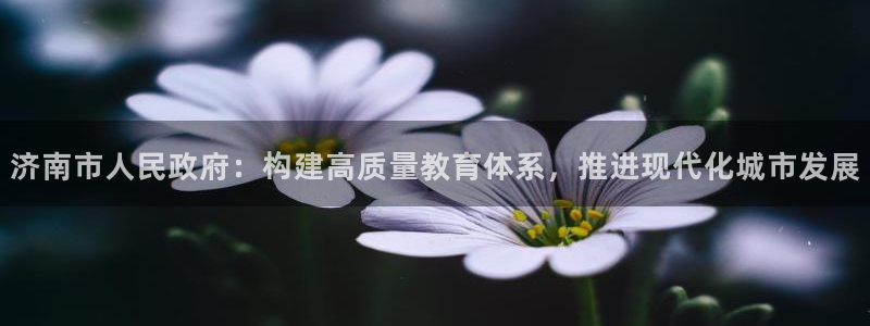 新航娱乐管理有限公司：济南市人民政府：构建高质量教育体系，推