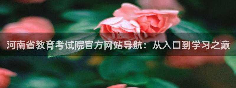 新航 娱乐系统：河南省教育考试院官方网站导航：从入口到学习之