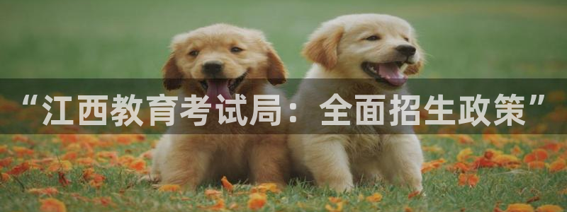新航文化娱乐传媒怎么样：“江西教育考试局：全面招生政策”